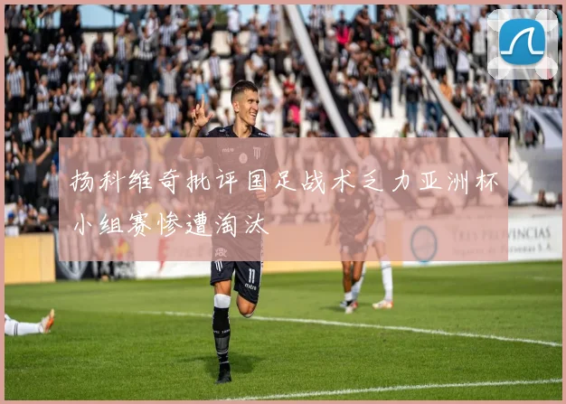 扬科维奇批评国足战术乏力亚洲杯小组赛惨遭淘汰