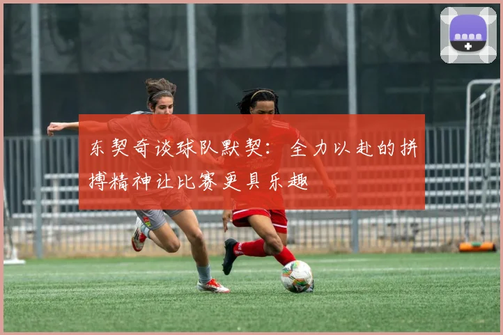 东契奇谈球队默契：全力以赴的拼搏精神让比赛更具乐趣