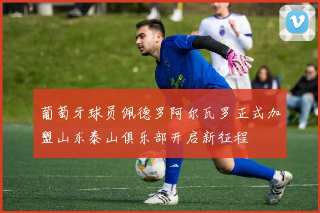 葡萄牙球员佩德罗阿尔瓦罗正式加盟山东泰山俱乐部开启新征程