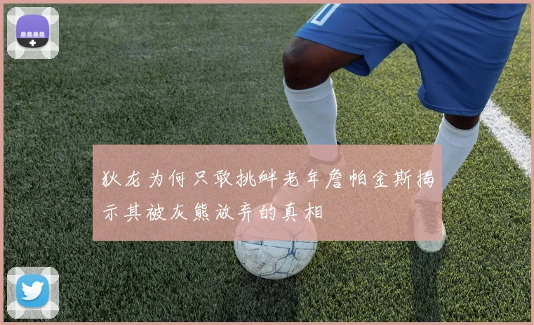 狄龙为何只敢挑衅老年詹帕金斯揭示其被灰熊放弃的真相