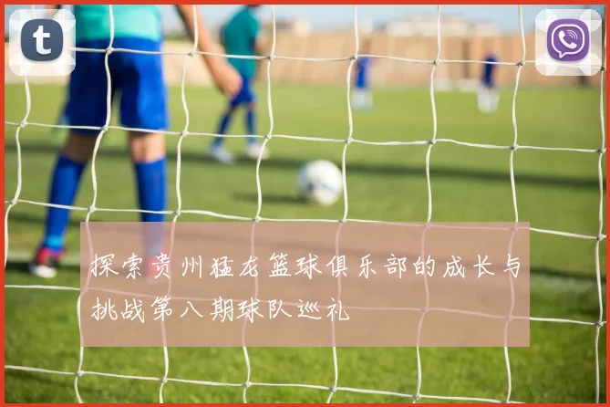 探索贵州猛龙篮球俱乐部的成长与挑战第八期球队巡礼