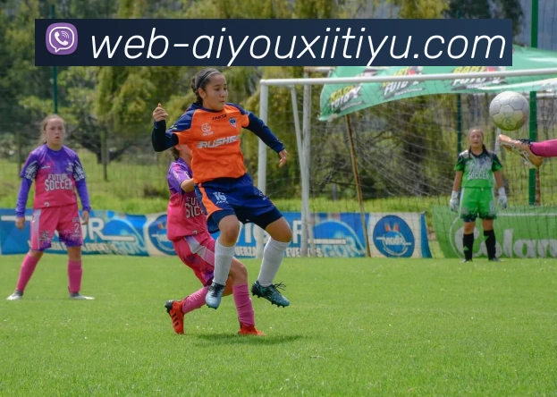 爱游戏体育服务体系