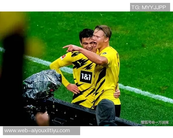 拜仁与多特争相关注霍芬海姆新星阿斯拉尼专注当下自然发展